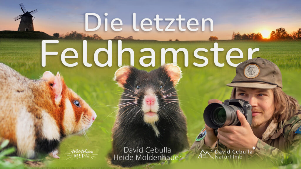 Filmposter Die letzten Feldhamster